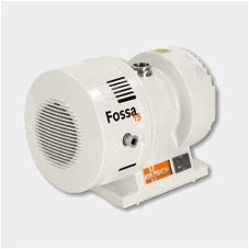 Description: Fossa