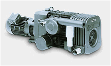 Description: Merlin
