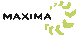 Description: logo_maxima
